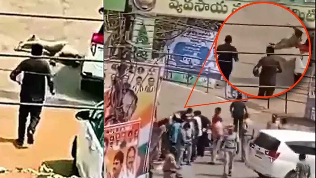 TS : ఐపీఎస్ అధికారిని ఢీకొన్ని తెలంగాణ మంత్రి వాహనం TS : ఐపీఎస్ అధికారిని ఢీకొన్ని తెలంగాణ మంత్రి వాహనం