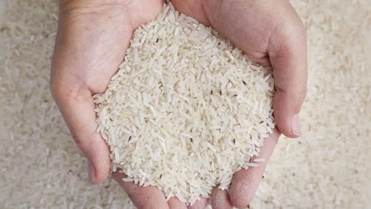Rice : పురుగులు పట్టిన బియ్యం తింటే ఏమవుతుంది?