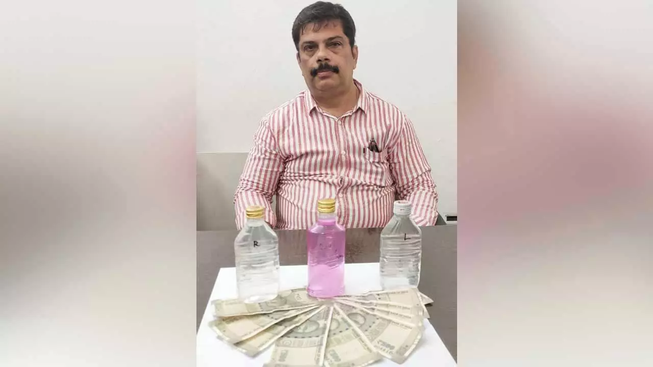 ACB : ఏసీబీ వలలో జూలాజికల్ పార్క్ సీనియర్ అసిస్టెంట్ ACB : ఏసీబీ వలలో జూలాజికల్ పార్క్ సీనియర్ అసిస్టెంట్