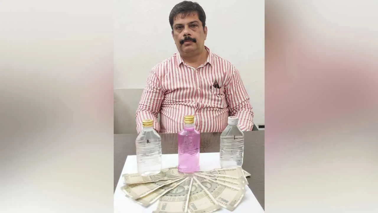ACB : ఏసీబీ వలలో జూలాజికల్ పార్క్ సీనియర్ అసిస్టెంట్ ACB : ఏసీబీ వలలో జూలాజికల్ పార్క్ సీనియర్ అసిస్టెంట్