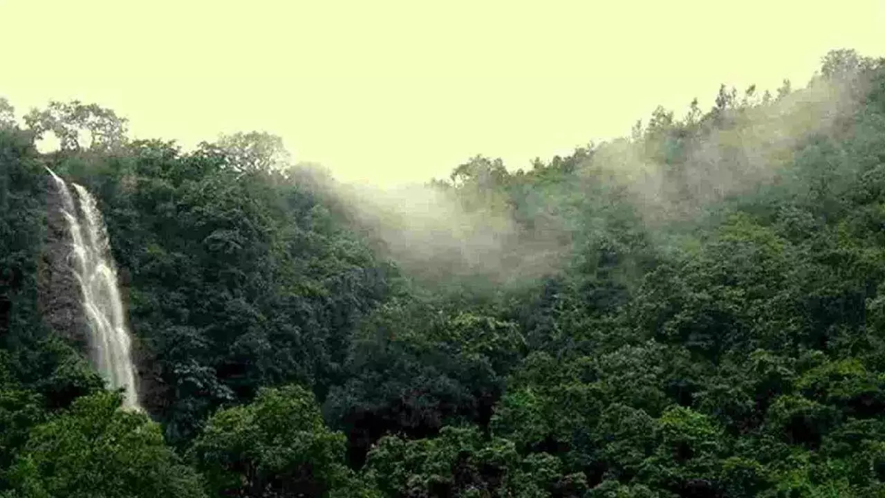 TS : కవ్వాల్, అమ్రాబాద్ అడవులకు పర్యాటక కళ