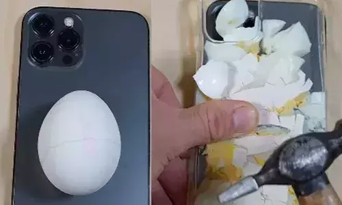 iPhone : మీరెప్పుడైనా ఇలా చేశారా.. ఐఫోన్ పై గుడ్డును చూర్ణం చేసి.. iPhone : మీరెప్పుడైనా ఇలా చేశారా.. ఐఫోన్ పై గుడ్డును చూర్ణం చేసి..