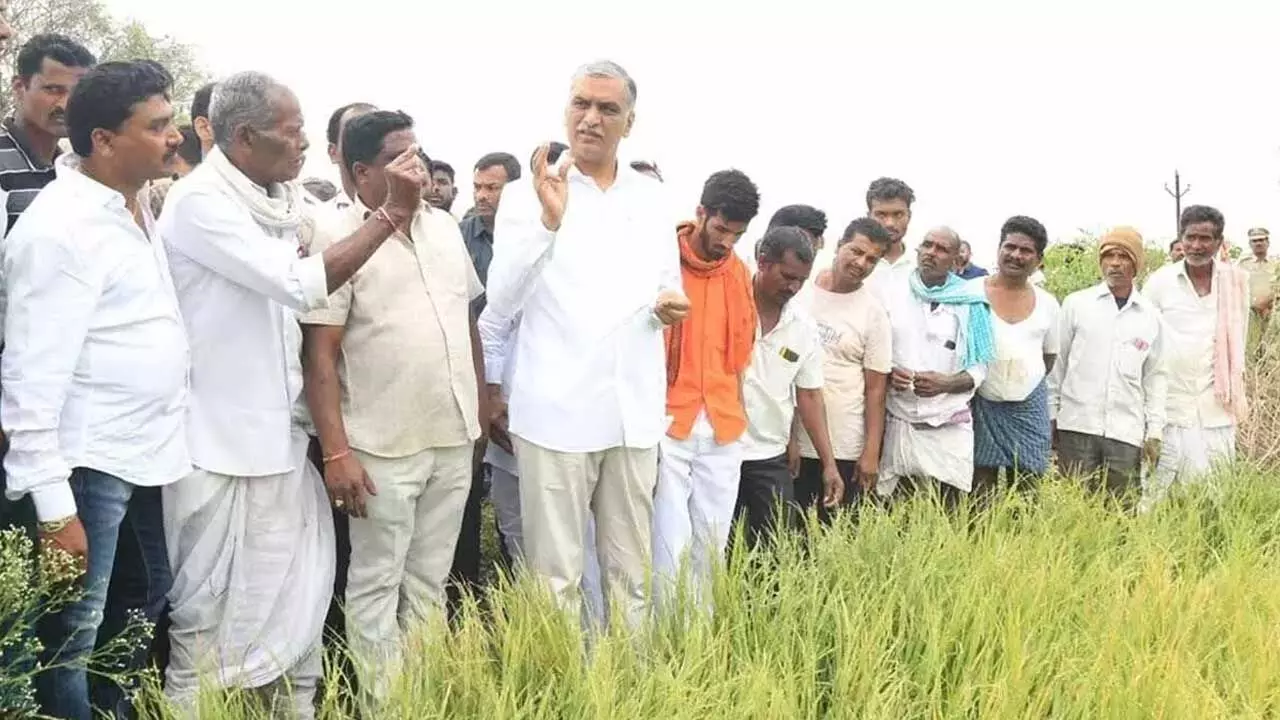 TS : రైతులకు పంట నష్టం సాయం రూ. 10 వేలు ఇవ్వండి : హరీష్ రావు TS : రైతులకు పంట నష్టం సాయం రూ. 10 వేలు ఇవ్వండి : హరీష్ రావు