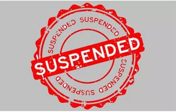 EC: 30 మంది వాలంటీర్లపై వేటు