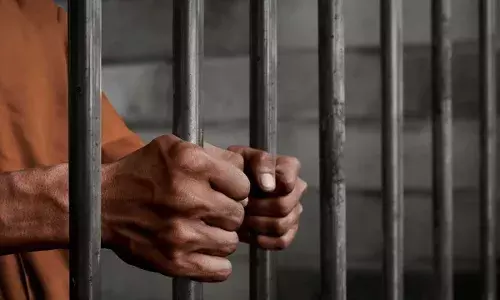 Sexual Assault : బాలికపై లైంగికదాడి కేసులో నిందితుడికి 20 ఏళ్ల జైలు శిక్ష