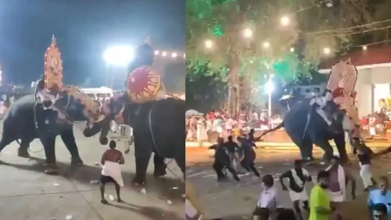 Temple : ఆలయ వేడుకల్లో ఏనుగుల మధ్య భీకర ఘర్షణ Temple : ఆలయ వేడుకల్లో ఏనుగుల మధ్య భీకర ఘర్షణ