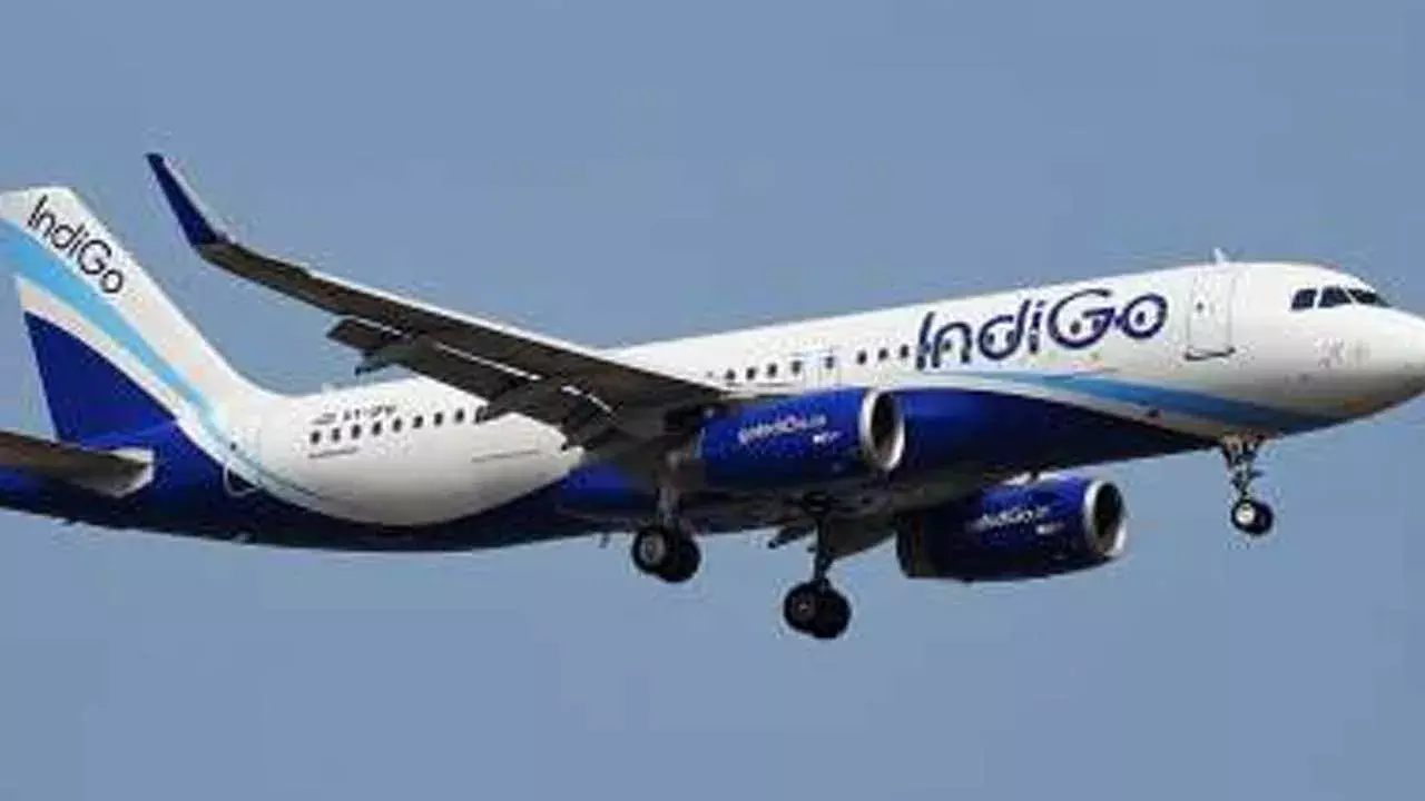 IndiGo : ఇండిగోపై వ్యంగంగా కామెంట్ చేసిన ప్యాసింజర్ IndiGo : ఇండిగోపై వ్యంగంగా కామెంట్ చేసిన ప్యాసింజర్
