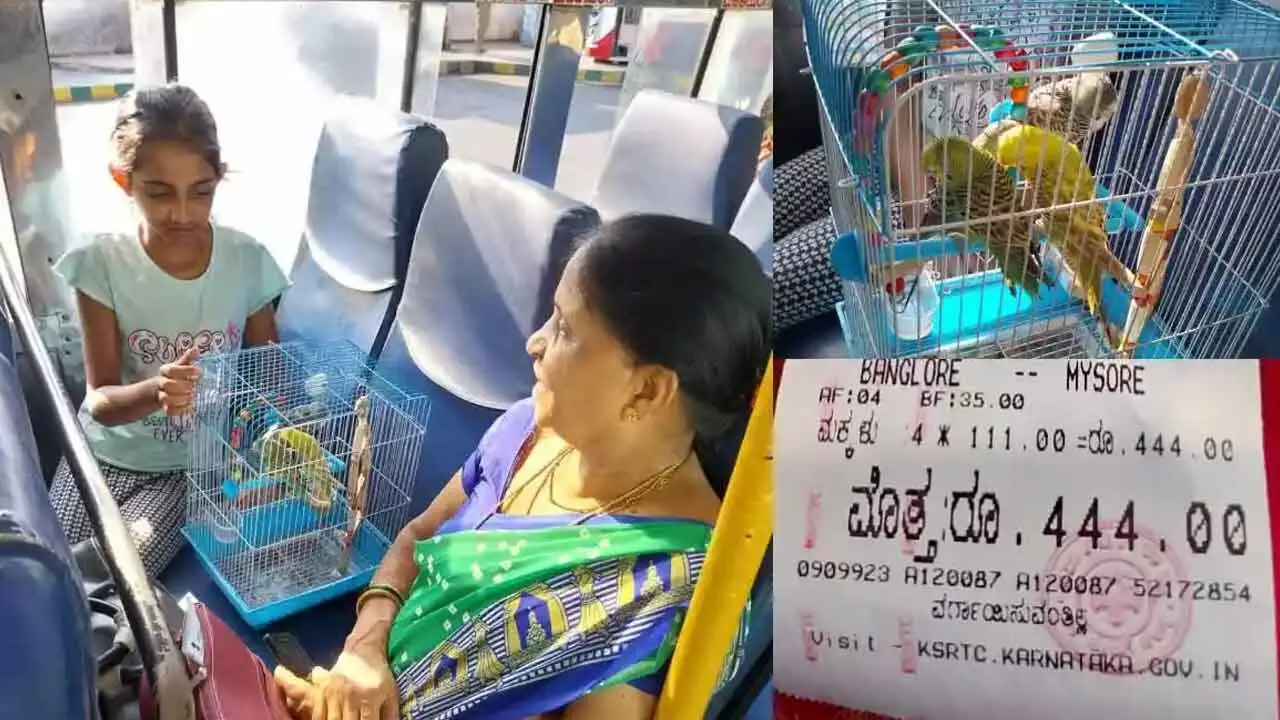 Bus Ticket : బస్సులో రామచిలకలకు టికెట్.. Bus Ticket : బస్సులో రామచిలకలకు టికెట్..
