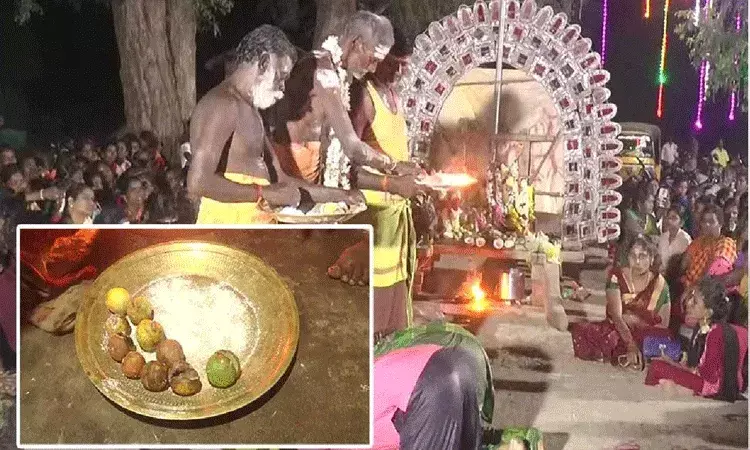 తొమ్మిది నిమ్మకాయలు రూ. 2.36 లక్షలకు విక్రయం.. కారణం తెలిస్తే షాకే..