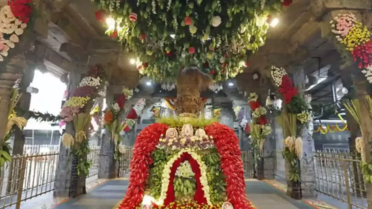 Tirumala : సాధారణంగా తిరుమలలో భక్తుల రద్దీ