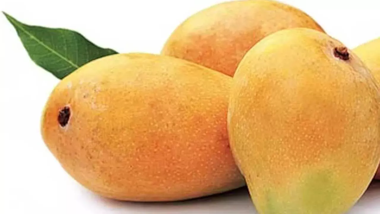Mango Price : తియ్యటి వార్త.. ఈ సారి మామిడి పండ్ల జాతరే Mango Price : తియ్యటి వార్త.. ఈ సారి మామిడి పండ్ల జాతరే