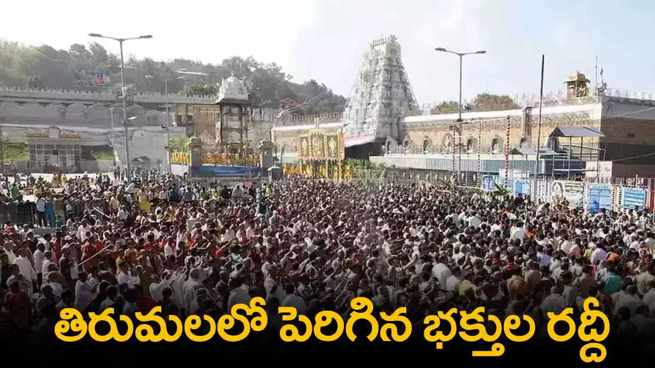 TTD : తిరుమలలో పెరిగిన భక్తుల రద్దీ.. 16 గంటల టైమ్