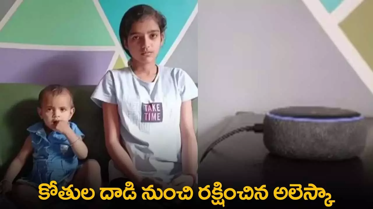 UP : కోతుల దాడి నుంచి రక్షించిన అలెస్కా UP : కోతుల దాడి నుంచి రక్షించిన అలెస్కా