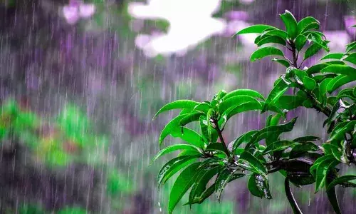 Weather Update: తెలంగాణలో రాగల రెండు రోజుల్లో వర్షాలు