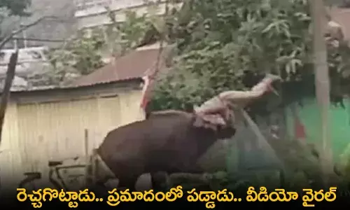 Viral : రెచ్చగొట్టాడు.. ప్రమాదంలో పడ్డాడు.. వీడియో వైరల్ Viral : రెచ్చగొట్టాడు.. ప్రమాదంలో పడ్డాడు.. వీడియో వైరల్