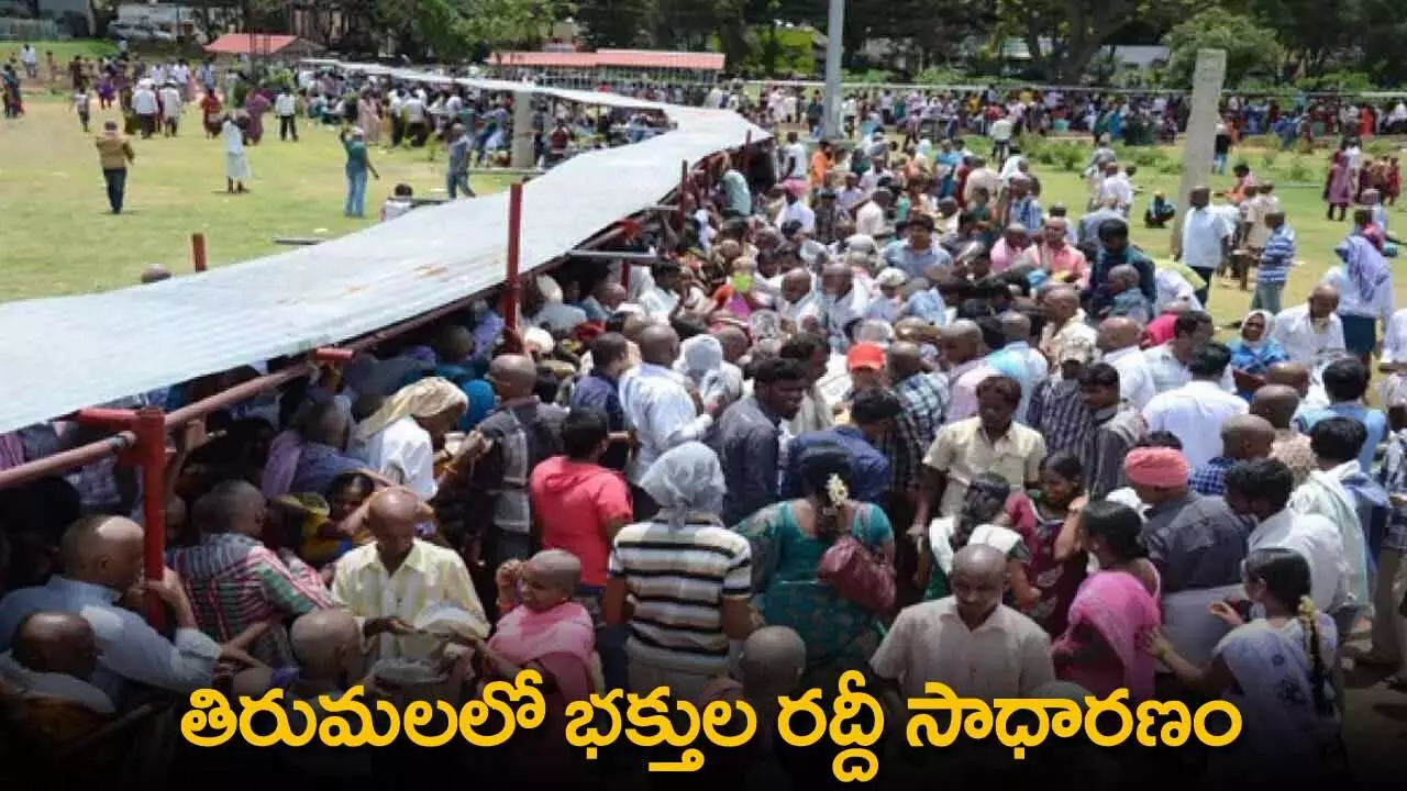 TTD : తిరుమలలో భక్తుల రద్దీ సాధారణం TTD : తిరుమలలో భక్తుల రద్దీ సాధారణం
