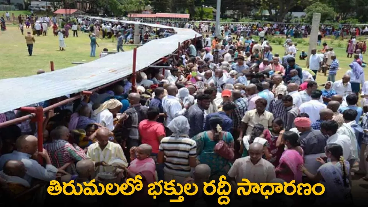 TTD : తిరుమలలో భక్తుల రద్దీ సాధారణం TTD : తిరుమలలో భక్తుల రద్దీ సాధారణం