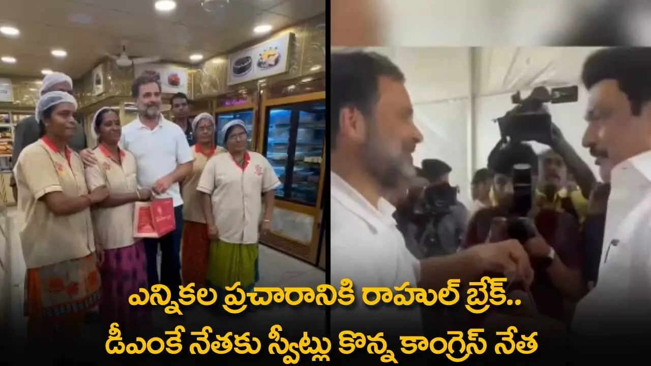 Tamilnadu : ఎన్నికల ప్రచారానికి రాహుల్ బ్రేక్.. డీఎంకే నేతకు స్వీట్లు కొన్న కాంగ్రెస్ నేత Tamilnadu : ఎన్నికల ప్రచారానికి రాహుల్ బ్రేక్.. డీఎంకే నేతకు స్వీట్లు కొన్న కాంగ్రెస్ నేత