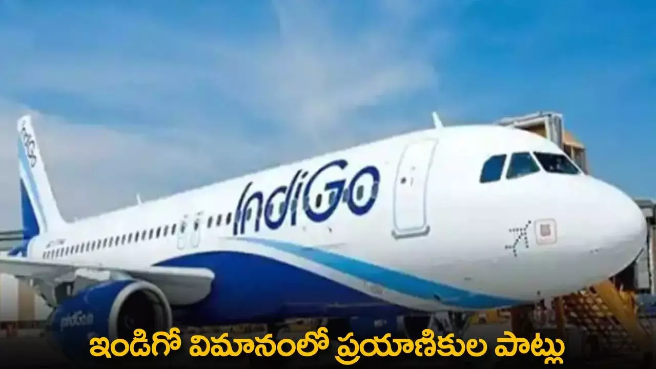 IndiGo : ఇండిగో విమానంలో ప్రయాణికుల పాట్లు IndiGo : ఇండిగో విమానంలో ప్రయాణికుల పాట్లు