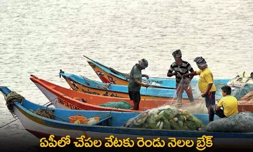 AP : ఏపీలో చేపల వేటకు రెండు నెలల బ్రేక్ AP : ఏపీలో చేపల వేటకు రెండు నెలల బ్రేక్