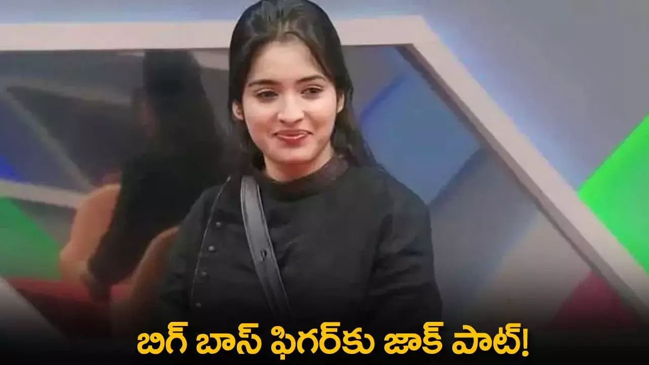 Bigg Boss Beauty : బిగ్ బాస్ ఫిగర్‌కు జాక్ పాట్!