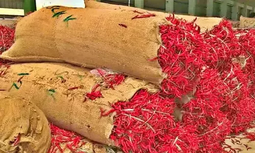 Telangana : లాభాల కోసం  సాగు చేస్తే గిట్టుబాటు ధర లేక నష్టాలు