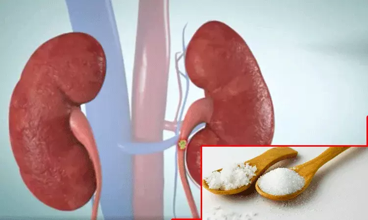 మూత్రపిండాల ఆరోగ్యం పై ప్రభావం చూపే ఉప్పు, చక్కెర.. ఎక్కువగా తీసుకుంటే.. మూత్రపిండాల ఆరోగ్యం పై ప్రభావం చూపే ఉప్పు, చక్కెర.. ఎక్కువగా తీసుకుంటే..