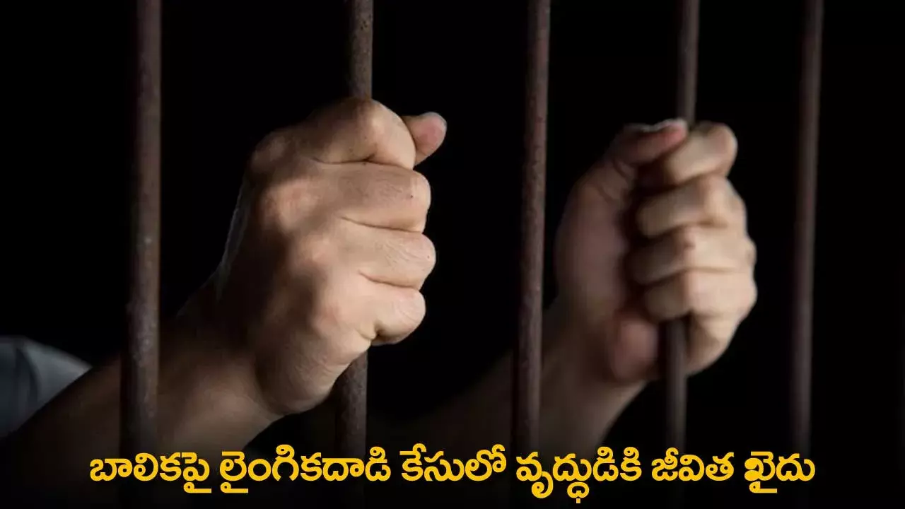 Minor Girl : బాలికపై లైంగికదాడి కేసులో వృద్ధుడికి జీవిత ఖైదు Minor Girl : బాలికపై లైంగికదాడి కేసులో వృద్ధుడికి జీవిత ఖైదు
