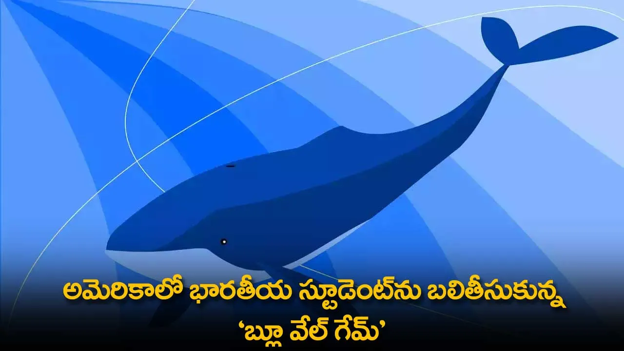Indian Student : అమెరికాలో భారతీయ స్టూడెంట్ను బలితీసుకున్న బ్లూ వేల్ గేమ్ Indian Student : అమెరికాలో భారతీయ స్టూడెంట్ను బలితీసుకున్న బ్లూ వేల్ గేమ్