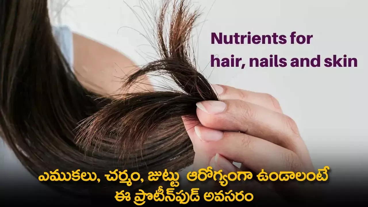 Protein Food : ఎముకలు, చర్మం, జుట్టు  ఆరోగ్యంగా ఉండాలంటే ఈ ప్రొటీన్ఫుడ్ అవసరం Protein Food : ఎముకలు, చర్మం, జుట్టు  ఆరోగ్యంగా ఉండాలంటే ఈ ప్రొటీన్ఫుడ్ అవసరం