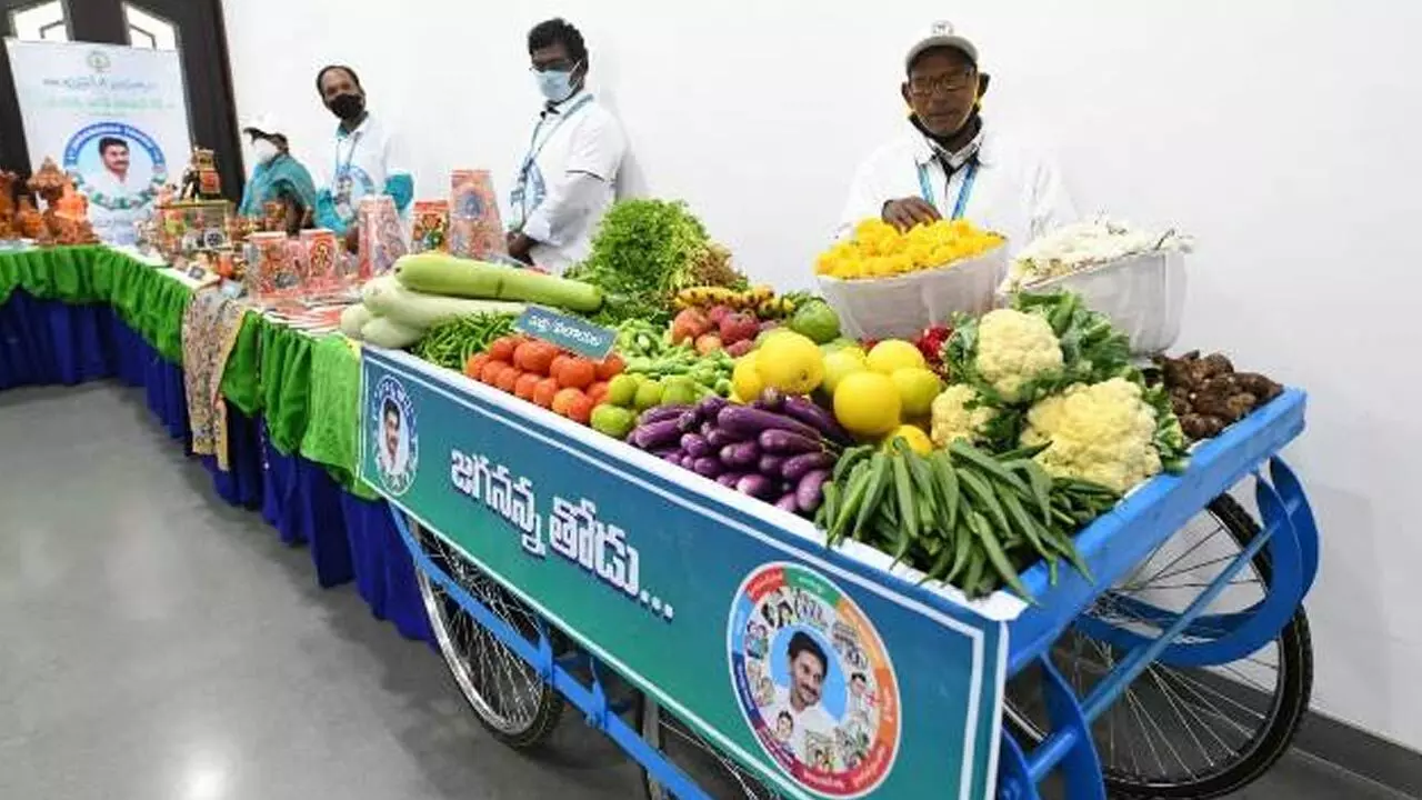 Jagananna Thodu: .వైకాపా కార్యకర్తలకే ‘జగనన్న తోడు ’ Jagananna Thodu: .వైకాపా కార్యకర్తలకే ‘జగనన్న తోడు ’