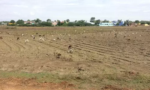 AP Government : జగనన్న భూ రక్ష కాదు.. భూ శిక్ష..! AP Government : జగనన్న భూ రక్ష కాదు.. భూ శిక్ష..!