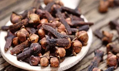 వేసవిలో లవంగం చేసే అద్భుతం.. ప్రతిరోజూ తీసుకుంటే.. వేసవిలో లవంగం చేసే అద్భుతం.. ప్రతిరోజూ తీసుకుంటే..