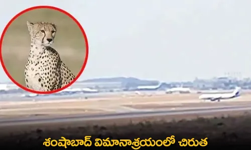TS : శంషాబాద్‌ విమానాశ్రయంలో చిరుత