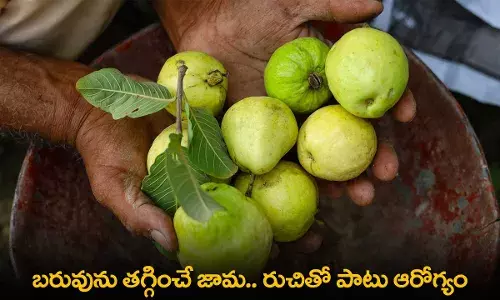 Weight Loss Tips : బరువును తగ్గించే జామ.. రుచితో పాటు ఆరోగ్యం Weight Loss Tips : బరువును తగ్గించే జామ.. రుచితో పాటు ఆరోగ్యం
