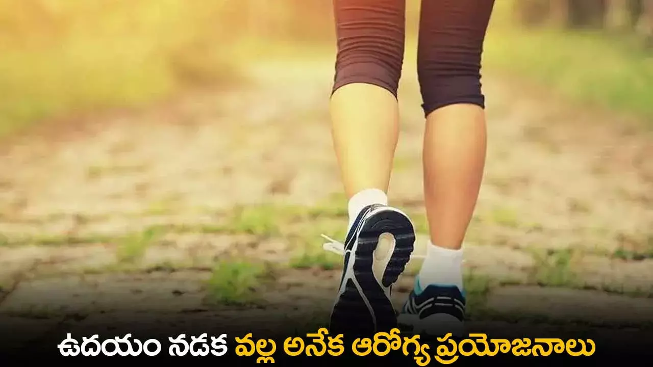 Morning Walk Benefits : ఉదయం నడక వల్ల అనేక ఆరోగ్య ప్రయోజనాలు Morning Walk Benefits : ఉదయం నడక వల్ల అనేక ఆరోగ్య ప్రయోజనాలు