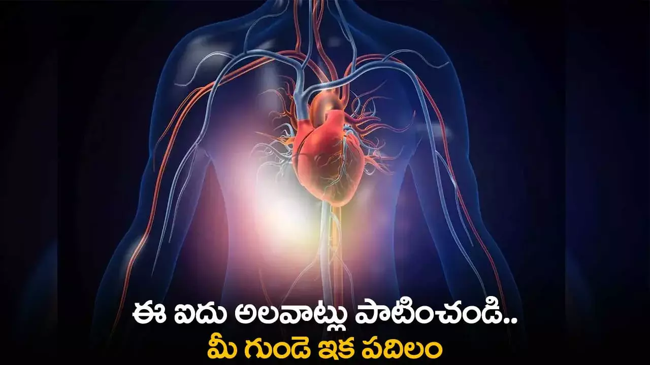 Heart Tips : ఈ ఐదు అలవాట్లు పాటించండి.. మీ గుండె ఇక పదిలం Heart Tips : ఈ ఐదు అలవాట్లు పాటించండి.. మీ గుండె ఇక పదిలం