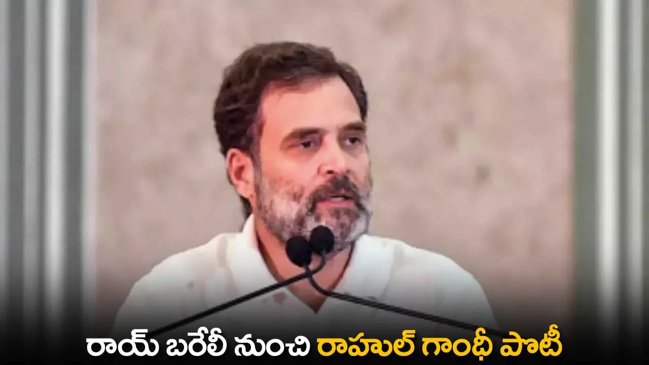Breaking : రాయ్ బరేలీ నుంచి రాహుల్ గాంధీ పొటీ Breaking : రాయ్ బరేలీ నుంచి రాహుల్ గాంధీ పొటీ