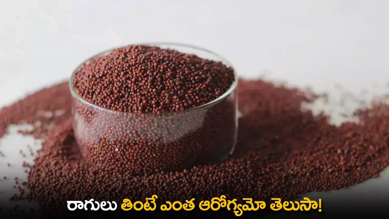 Best Food : బెస్ట్ ఫుడ్..   రాగులు తింటే ఎంత ఆరోగ్యమో తెలుసా!