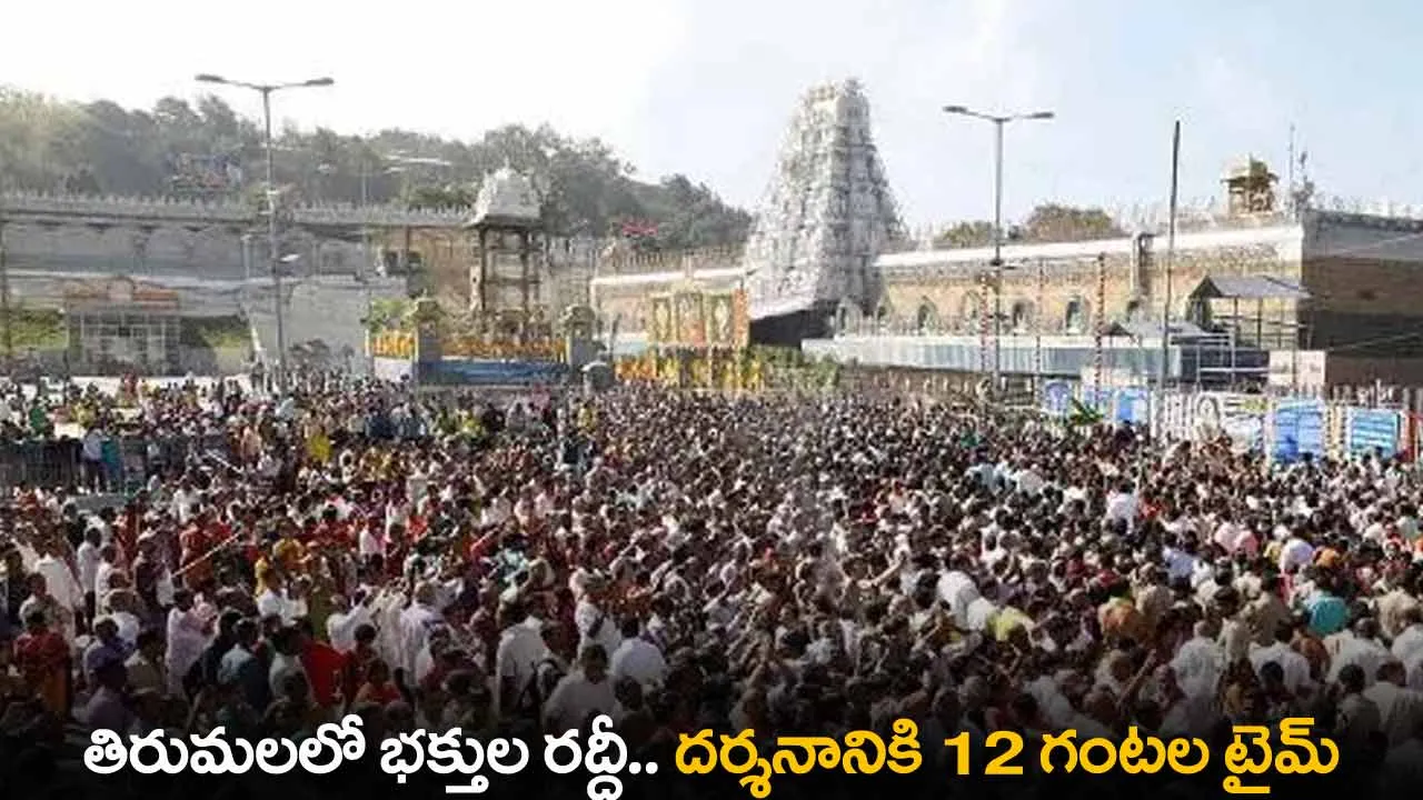TTD : తిరుమలలో భక్తుల రద్దీ..  దర్శనానికి 12 గంటల టైమ్ TTD : తిరుమలలో భక్తుల రద్దీ..  దర్శనానికి 12 గంటల టైమ్
