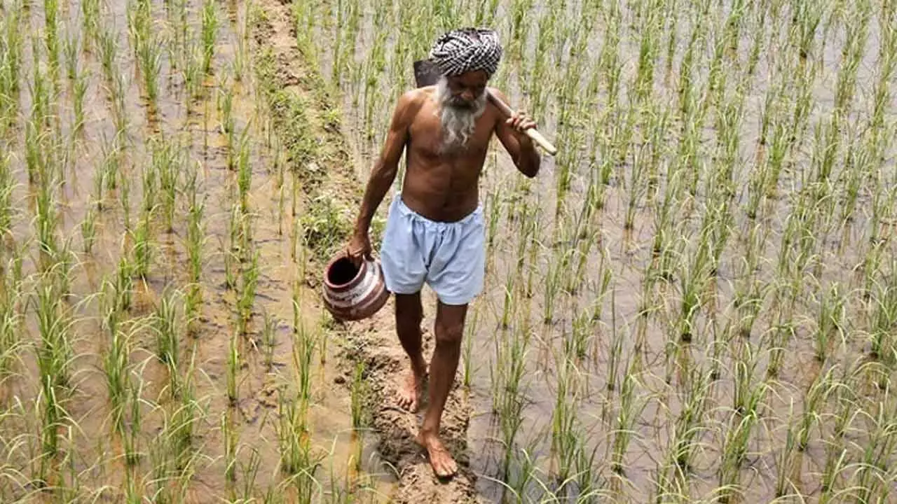Good News for Farmers : నేటి నుంచి రైతు భరోసా నిధులు Good News for Farmers : నేటి నుంచి రైతు భరోసా నిధులు
