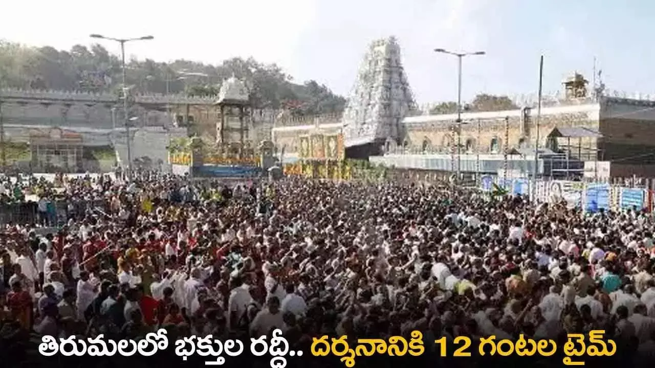 TTD : తిరుమలలో భక్తుల రద్దీ .. దర్శనానికి 12 గంటల టైమ్ TTD : తిరుమలలో భక్తుల రద్దీ .. దర్శనానికి 12 గంటల టైమ్