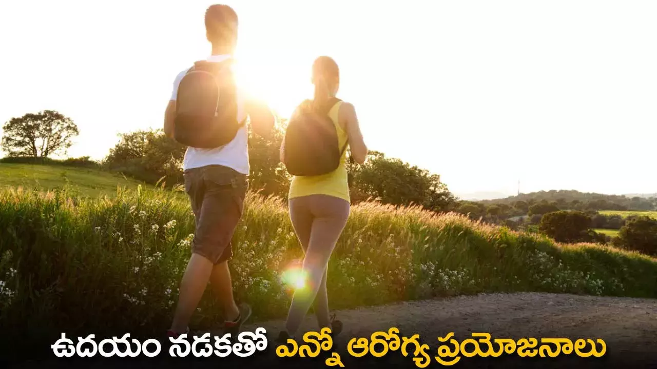 Morning Walk Benefits : ఉదయం నడకతో ఎన్నో ఆరోగ్య ప్రయోజనాలు Morning Walk Benefits : ఉదయం నడకతో ఎన్నో ఆరోగ్య ప్రయోజనాలు