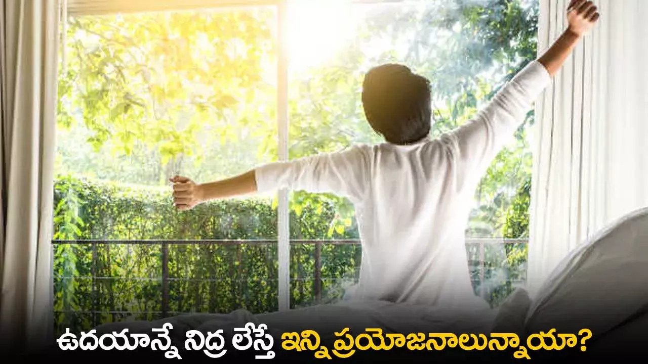 Wake Up Early Benefits : ఉదయాన్నే నిద్ర లేస్తే ఇన్ని ప్రయోజనాలున్నాయా? Wake Up Early Benefits : ఉదయాన్నే నిద్ర లేస్తే ఇన్ని ప్రయోజనాలున్నాయా?