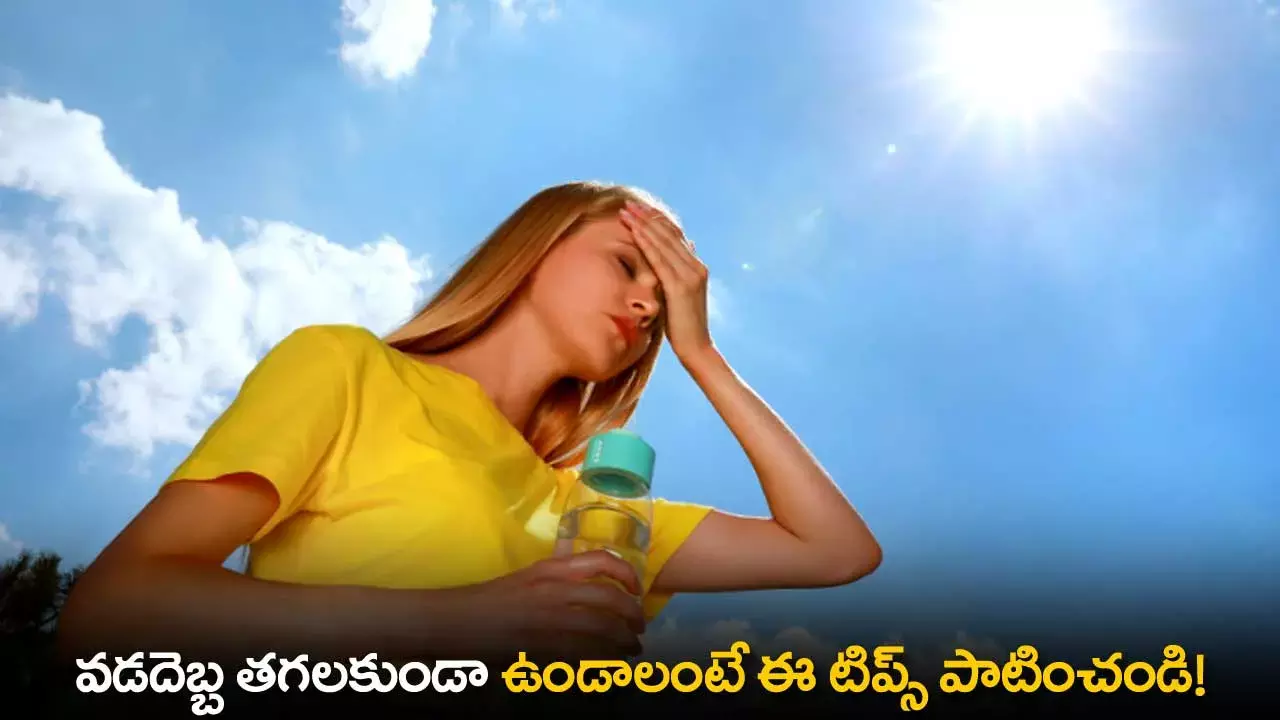 Heatwave Tips : వడదెబ్బ తగలకుండా ఉండాలంటే ఈ టిప్స్ పాటించండి! Heatwave Tips : వడదెబ్బ తగలకుండా ఉండాలంటే ఈ టిప్స్ పాటించండి!