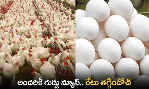 Good News : అందరికీ గుడ్డు న్యూస్.. రేటు తగ్గిందోచ్