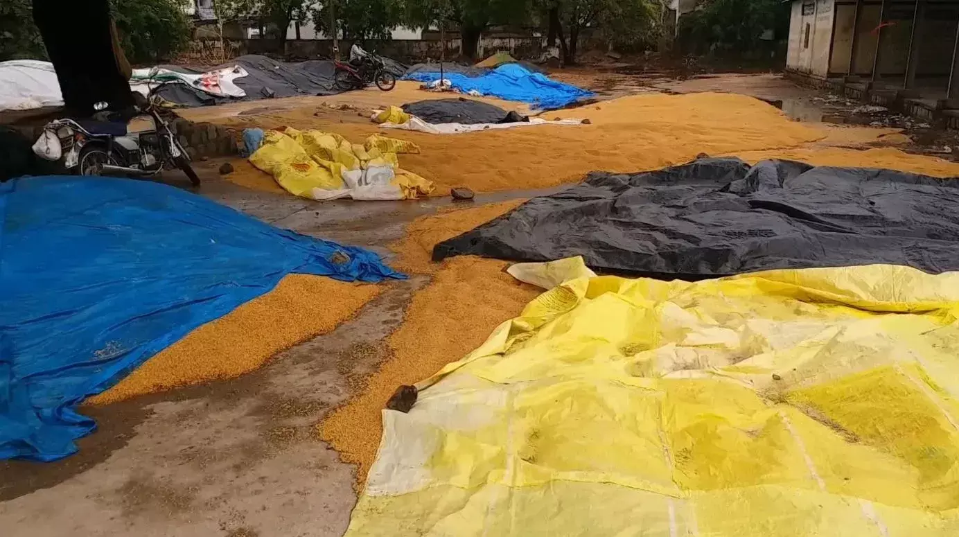 CROP LOSS: అకాల వర్షం-అపార నష్టం