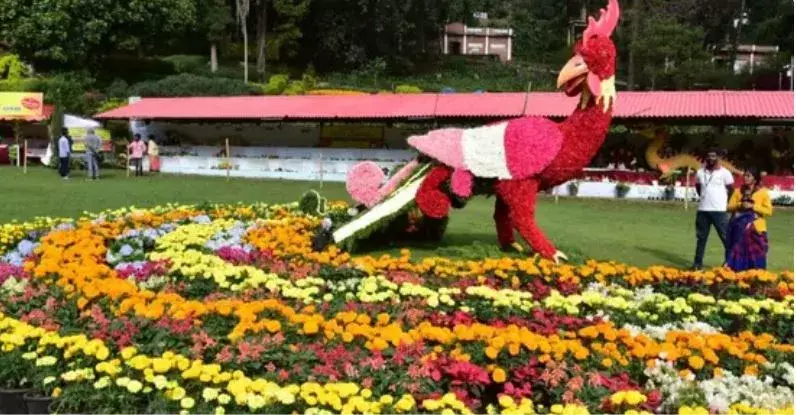 Kodaikanal: కొడైకెనాల్‌లో ఆకట్టుకుంటున్న పూల ప్రదర్శన