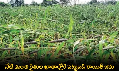 AP : నేటి నుంచి రైతుల ఖాతాల్లోకి పెట్టుబడి రాయితీ జమ AP : నేటి నుంచి రైతుల ఖాతాల్లోకి పెట్టుబడి రాయితీ జమ