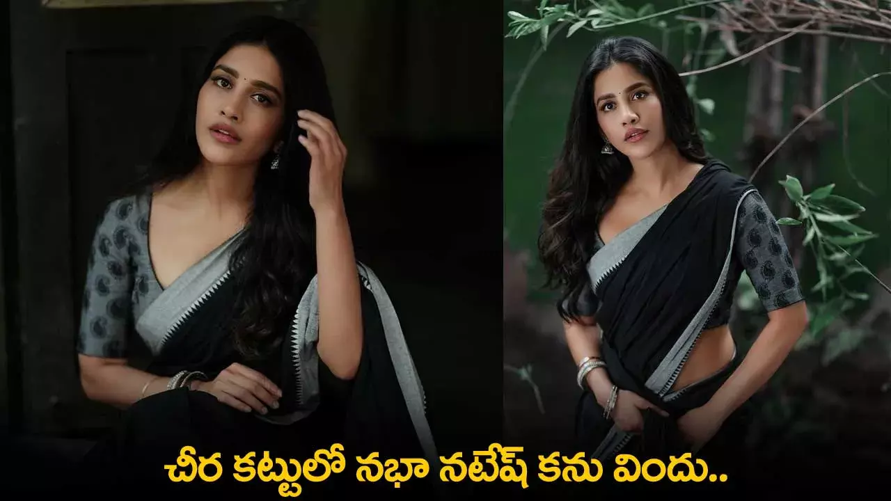 Nabha Natesh : చీర కట్టులో నభా నటేష్ కను విందు..